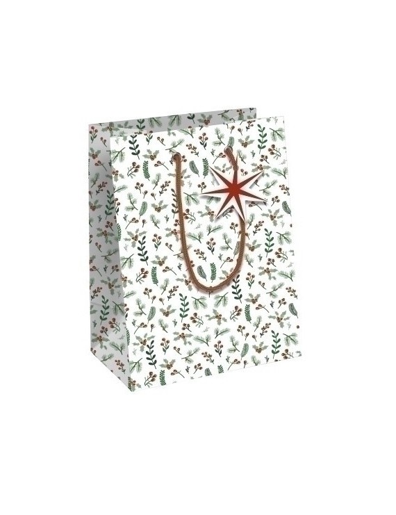 Bolsa papel kraft  25x22 cosi nav. p/6