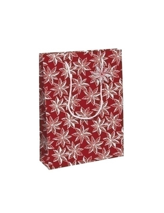Bolsa papel kraft  33x26 citricos p/6