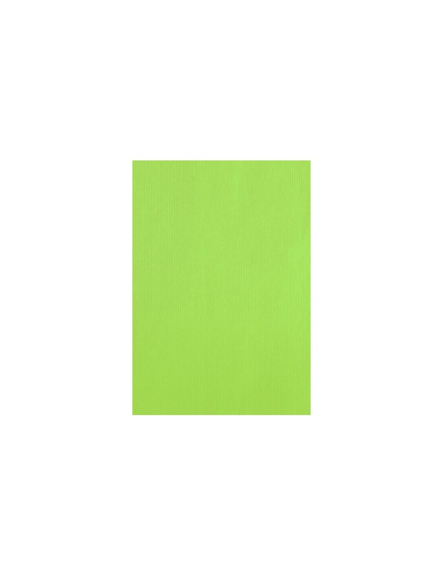 Bolsa papel tv cel. 18x29 pistacho p/25