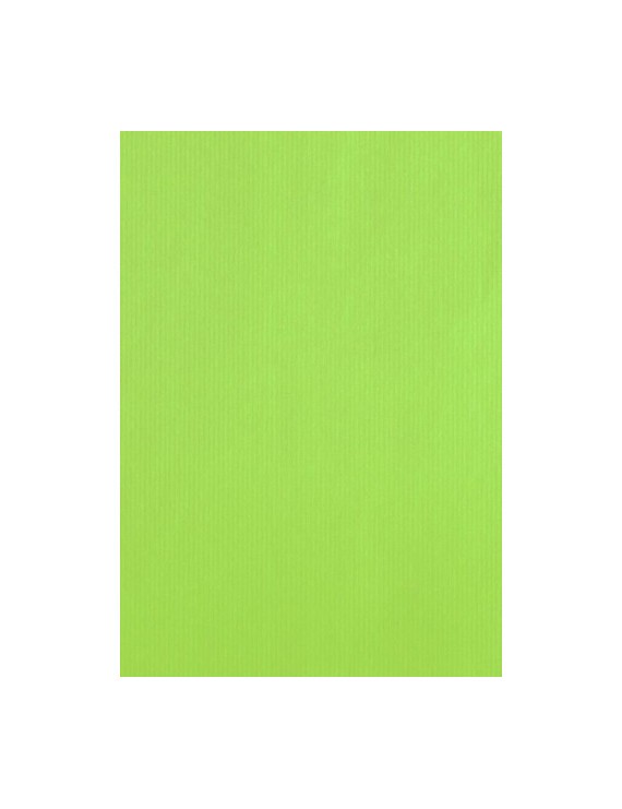 Bolsa papel tv cel. 18x29 pistacho p/25