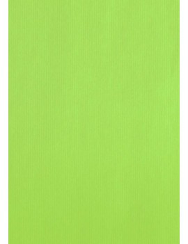 Bolsa papel tv cel. 24x40 pistacho p/25