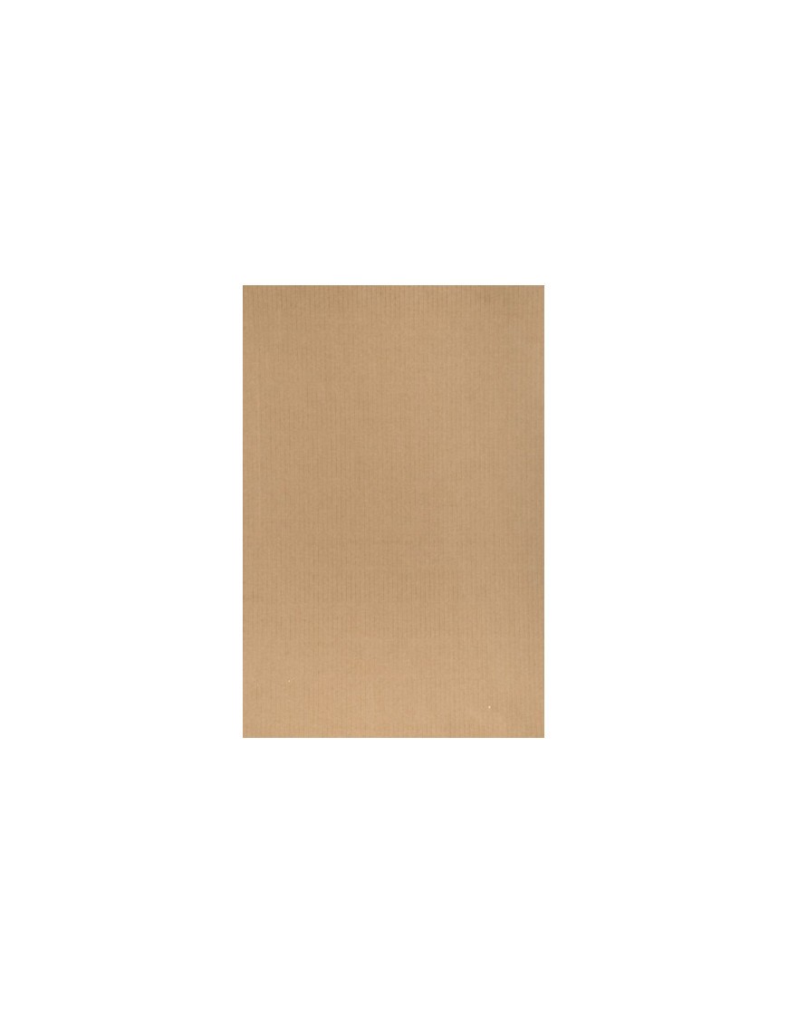 Bolsa papel tv kraft 24x40 marron p/25