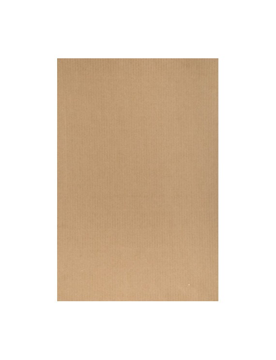 Bolsa papel tv kraft 24x40 marron p/25