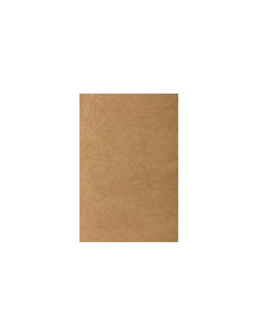 Bolsa papel tv kraft 32x41 kraft p/25