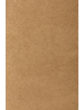 Bolsa papel tv kraft 36x29 kraft p/25