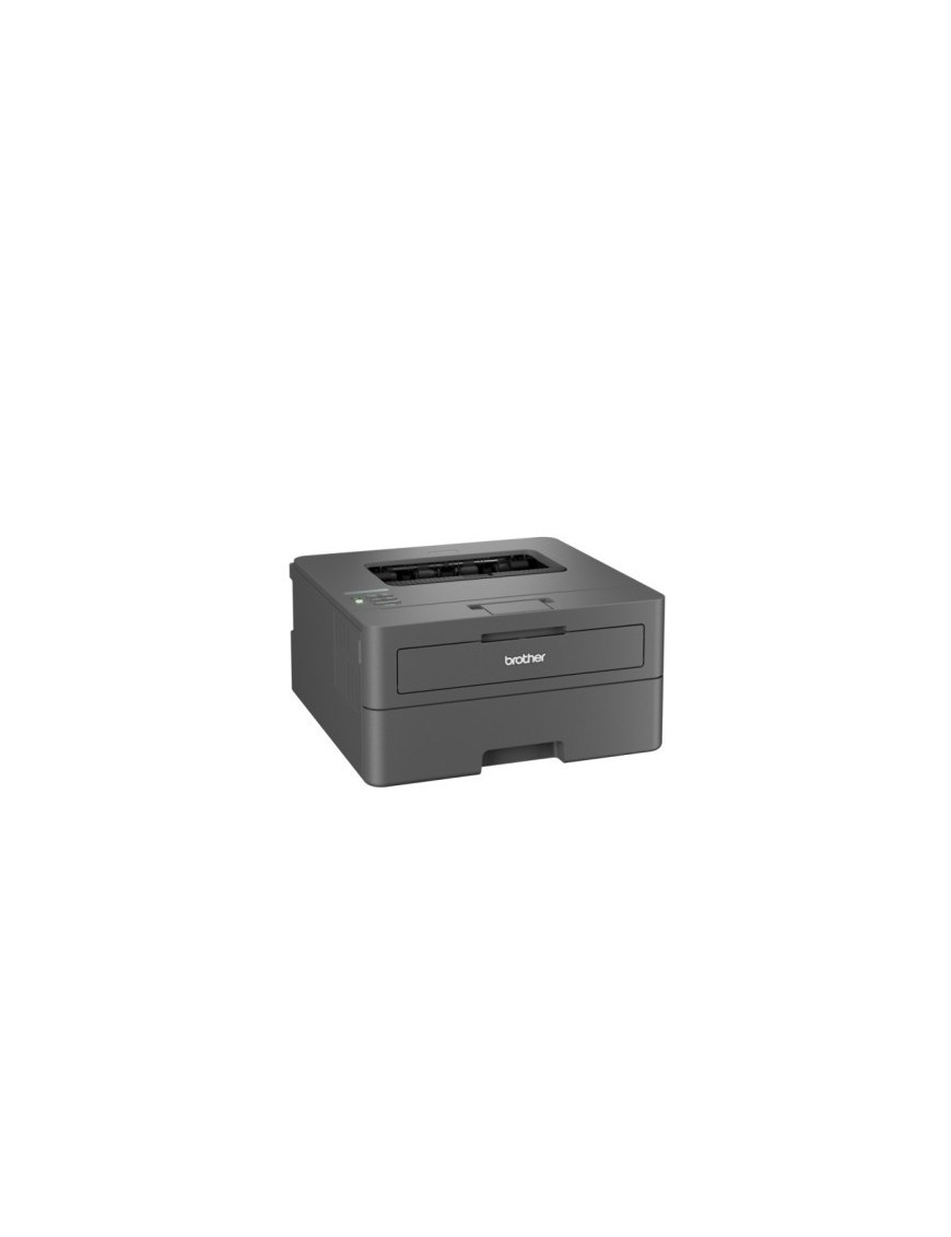 Impresora brother laser b/n hll2400dwe