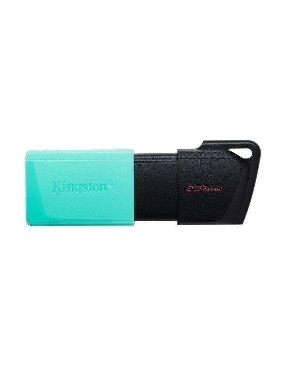 Memoria usb 256gb kingston dtxm