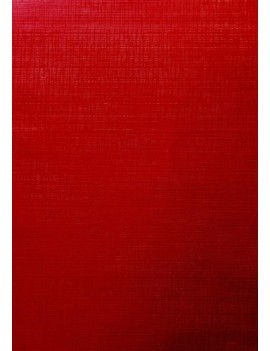 Papel regalo bobina tv 70x100 gof. rojo