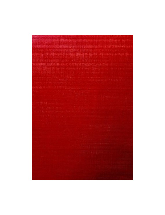 Papel regalo bobina tv 70x100 gof. rojo