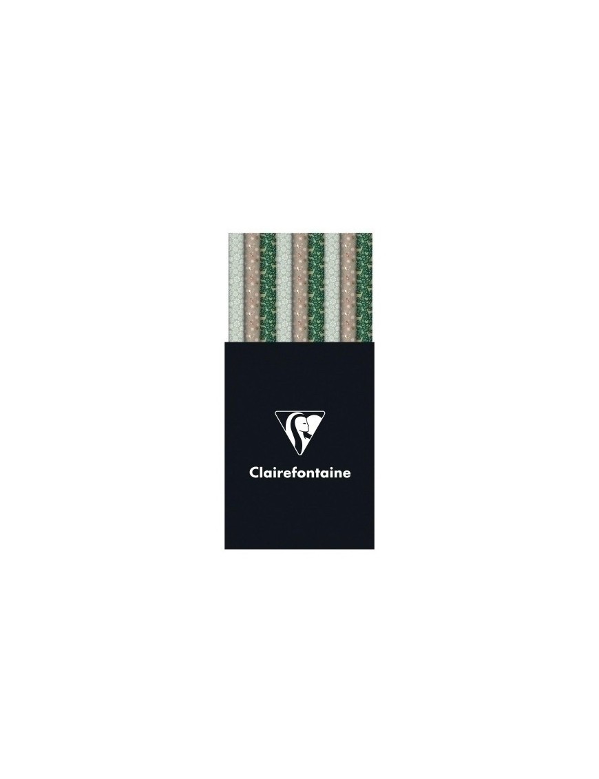 Papel regalo rl.clairef.0,7x2 nav.adu.(60)