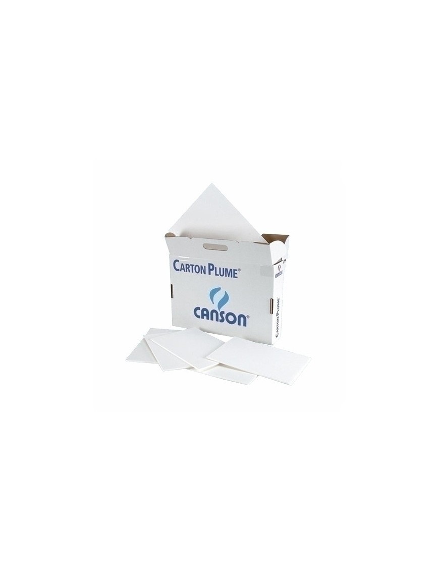 CARTON PLUMA CANSON BLANCO